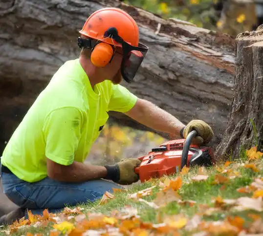 tree services Seaman